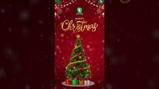 Merry Christmas 2024 | Christmas 2024 | Evergreen Publications India Ltd. #christmas #christmastree