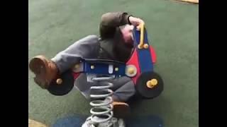 Tiny Tim at the park