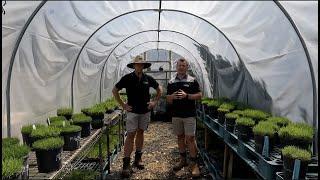 A visit to Lawn Solutions Australia