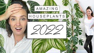 The BEST Indoor Plants This Year  Top House Plants 2022