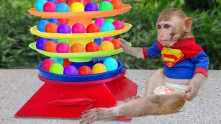 Baby Monkey Bin Bin Goes garbage By Rainbow Gumballs And Eats Fruit With Puppies In Garden