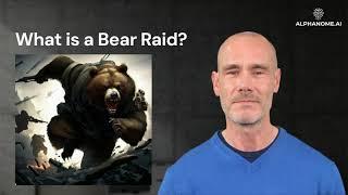 Bear Raid: An Investor's Guide