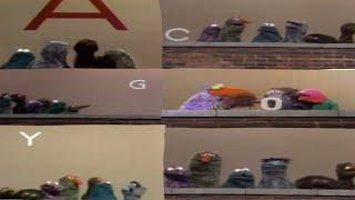 Sesame Street Compilation: Monster Letter Tags (1970)