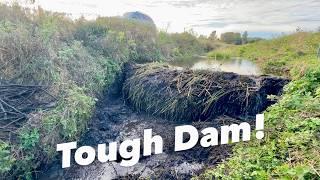 Tough Beaver Dam Crashed in 2 Parts!