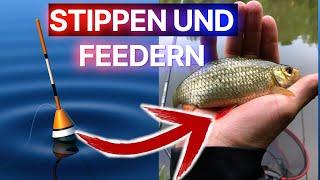 Weissfische im Frühjahr - das bringt jetzt Fisch