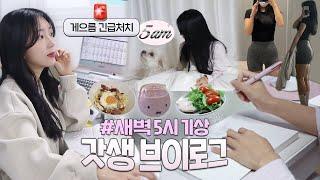 5AM 기상 갓생 브이로그⏰ (나 열심히 살래~!) | 쓰리잡 유튜버의 생산적인 일상 (블루베리스무디, 최애 건강집밥)