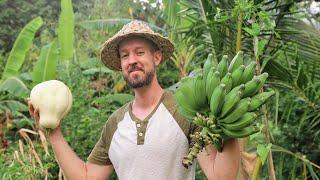 Tropical Food Forest Ideas and Inspiration with David The Good