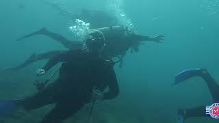 Queensland Scuba Diving Company - Gold Coast, Australia