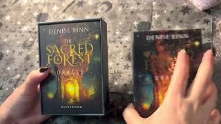 The Sacred Forest Oracle, Flip Through / Magical Forest