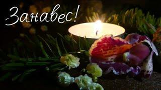 Занавес! Алла Сигарёва.