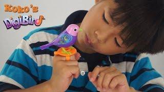 Digi Bird Unboxing and Toy Review by Koko