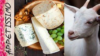 КОЗЬЕ МОЛОКО в сыроделии  Сыр, творог, Сулугуни, Моцарелла из козьего молока: рецепт  Goat Cheese