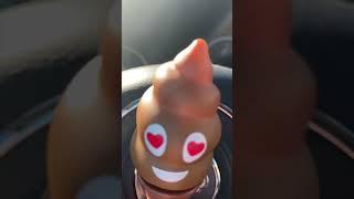 CRAZY SLAP HAPPY