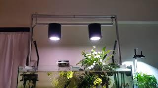 SPECTRA Light : Aquatics lighting and biotope