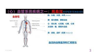 医学科普：心血管系统