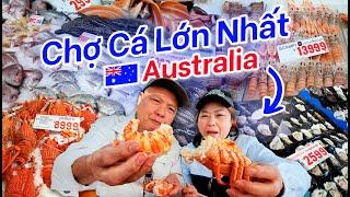 Chợ Cá Lớn Nhất Úc  Sydney Fish Market | Hải Sản Tươi Ngon