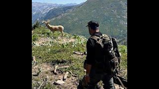 High Sierra Archery Shoot Bear Valley 2024