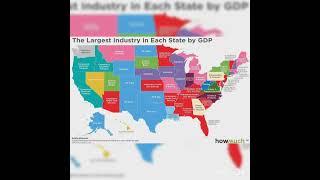 The largest Industry in each US state by GDP! #map #industry #usa #state #gdp #youtubeshorts