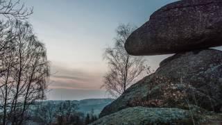 Schwammerling in Rechberg - FilmSchmankerl