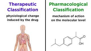 Categorizing Drugs: Classes, Names, and Schedules