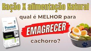 Qual a melhor dieta para emagrecer meu cachorro?