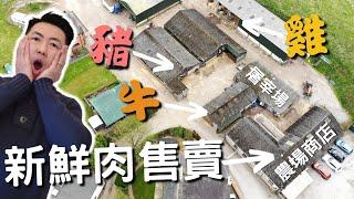 【英國物價 通脹】移民英國 香港人 吃得坎坷？自己煮 對比 外出用餐要多少錢？？