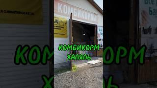 Комбикорма производства ECOSTTAV #ecosttav #экосттав #комбикормхаляль #халяль #комбикорм