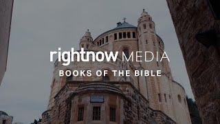 Books of the Bible Video Studies | Exclusively Available on RightNow Media