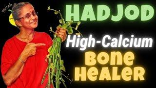 Hadjod/Pirandai:  Best of Calcium rich foods for Bones in India