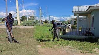 I waited for my neighbors to go to work, then cut their yards without them knowing