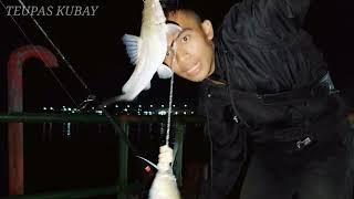 mancing ikan baung di sungai mahakam babon baung semua..!!!