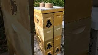 Winterizing my beehives with new research-based technology: the Hive Hugger!