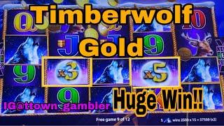 Huge Win On Timberwolf Gold with back to back bonuses | Trying Something New To Make Some Money 