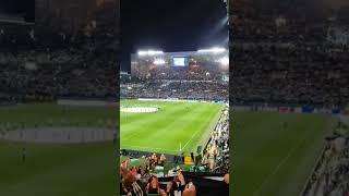 Celtic Football Fans sing "Walk On" In Solidarity With Palestine