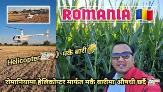 Prundu  || रोमानियामा हेलिकोप्टर मार्फत मकै बारीमा औषधी छर्दै  || agriculture sector 