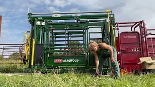 Using our Gallagher load bars to weigh cows!