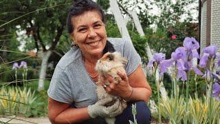 Mother's day in the garden: Recipe for balkan dessert and lunch in the field ‍