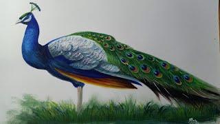 How to draw a peacock with poster colour | #10 PS Art Gallery