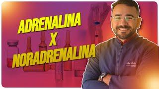 ADRENALINA VS NORADRENALINA: QUAL A DIFERENÇA ENTRE ADRENALINA E A NORADRENALINA?