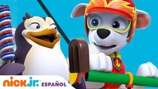 Paw Patrol, Patrulla de cachorros | Los pingüinos desaparecidos | Nick Jr. en Español