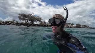 Amazing Turtle Encounter! 10m Visibility at The Spit Gold Coast