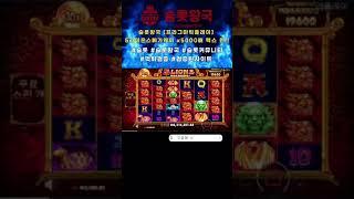 5라이온스메가웨이 x5000배 맥스 윈!! 잭팟 #슬롯 #카지노 프라그마틱, 노리밋시티, 피지소프트, 마이크로게이밍, 하바네로, pg소프트, 마이크로게임