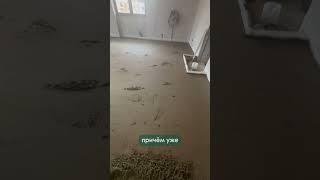 Чем он думал?  #стяжкапола #ремонт #уровень #стройка #стяжка #ремонтквартир