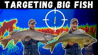 Targeting BIG Fish W/ Livescope (How to Find/Catch BIG Walleyes & Pike on Jigging Raps & Swimbaits)