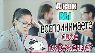 Влияние окружения. Как ближайшее окружение влияет на Ваше благополучие и Ваши финансы?
