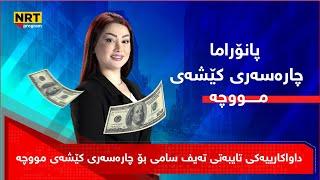 پانۆراما -  داواكارییەكی تایبەتی تەیف سامی بۆ چارەسەری كێشەی مووچە