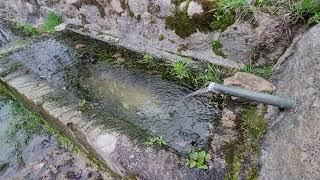 Ballade à Tridos en Lozère (48)