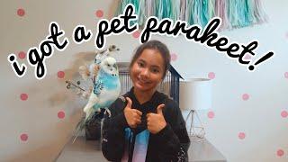 I got a parakeet for my Birthday! | Birthday Vlog | I got a pet bird