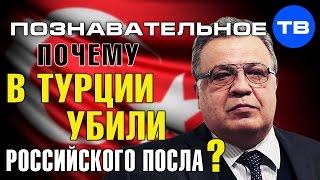 Почему в Турции убили российского посла? (Познавательное ТВ, Артём Войтенков)