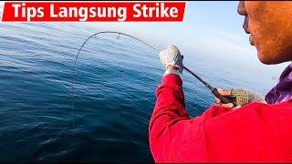 5 Hal Penting Hindari Boncos Saat Mancing Jigging